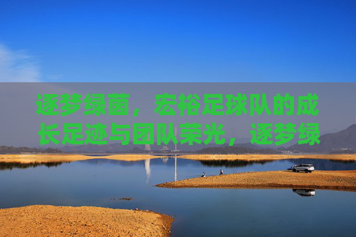 逐梦绿茵，宏裕足球队的成长足迹与团队荣光，逐梦绿茵，宏裕足球队的成长足迹与团队荣光