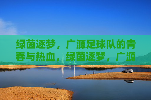 绿茵逐梦，广源足球队的青春与热血，绿茵逐梦，广源足球队的青春与热血