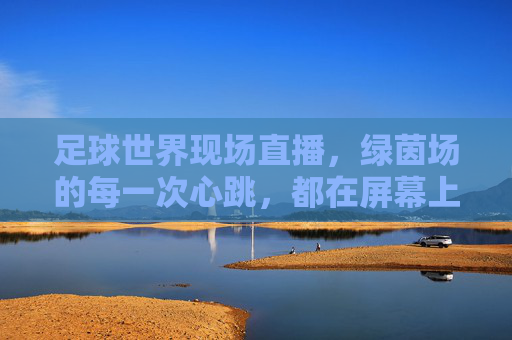 足球世界现场直播，绿茵场的每一次心跳，都在屏幕上跃动，足球现场直播，绿茵场的每一次心跳，都在屏幕上跃动