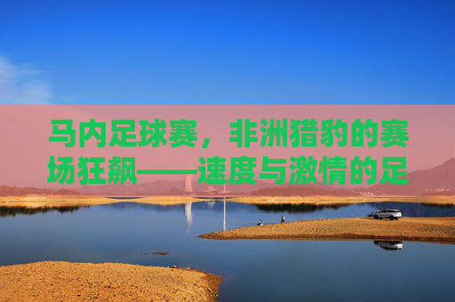 马内足球赛，非洲猎豹的赛场狂飙——速度与激情的足球盛宴，马内足球赛，非洲猎豹的赛场狂飙——速度与激情的足球盛宴