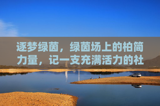 逐梦绿茵，绿茵场上的柏简力量，记一支充满活力的社区足球队，逐梦绿茵，绿茵场上的柏简力量，记一支充满活力的社区足球队