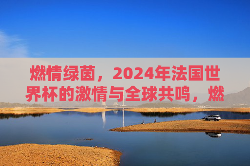 燃情绿茵，2024年法国世界杯的激情与全球共鸣，燃情绿茵，2024年法国世界杯的激情与全球共鸣