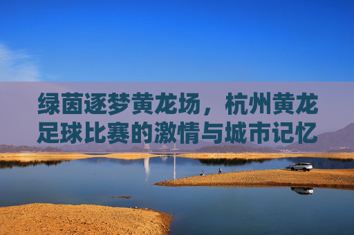 绿茵逐梦黄龙场,杭州黄龙足球比赛的激情与城市记忆,绿茵逐梦黄龙场,杭州黄龙足球比赛的激情与城市记忆