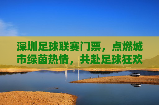 深圳足球联赛门票，点燃城市绿茵热情，共赴足球狂欢盛宴，深圳足球联赛门票，点燃城市绿茵热情，共赴足球狂欢盛宴