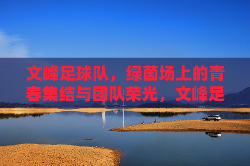 文峰足球队，绿茵场上的青春集结与团队荣光，文峰足球队，绿茵场上的青春集结与团队荣光