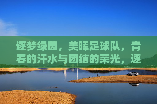 逐梦绿茵，美晖足球队，青春的汗水与团结的荣光，逐梦绿茵，美晖足球队，青春的汗水与团结的荣光