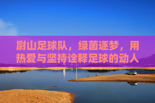 尉山足球队,绿茵逐梦,用热爱与坚持诠释足球的动人篇章,尉山足球队,绿茵逐梦,以热爱与坚持诠释足球的动人篇章