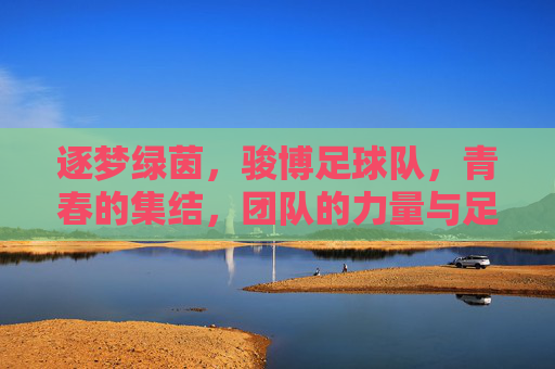 逐梦绿茵，骏博足球队，青春的集结，团队的力量与足球的激情，逐梦绿茵，骏博足球队，青春集结，团队力量与足球激情的绽放