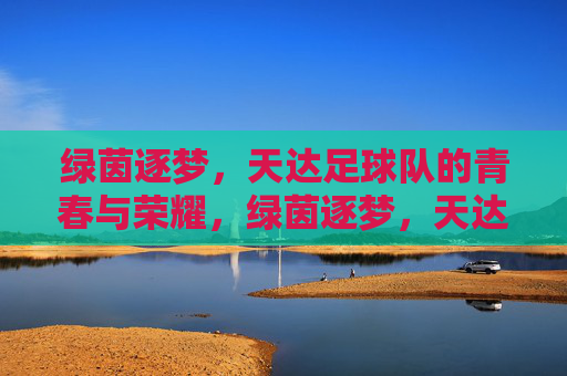 绿茵逐梦，天达足球队的青春与荣耀，绿茵逐梦，天达足球队的青春与荣耀