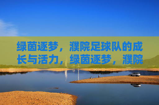 绿茵逐梦，濮院足球队的成长与活力，绿茵逐梦，濮院足球队的成长与活力