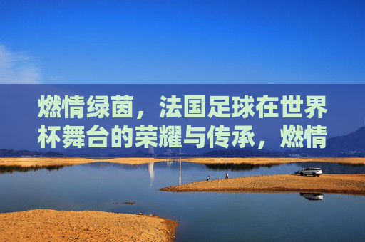 燃情绿茵,法国足球在世界杯舞台的荣耀与传承,燃情绿茵,法国足球在世界杯舞台的荣耀与传承
