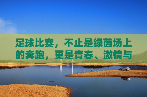 足球比赛，不止是绿茵场上的奔跑，更是青春、激情与生命的交响，足球，绿茵场上的奔跑，青春激情与生命的交响
