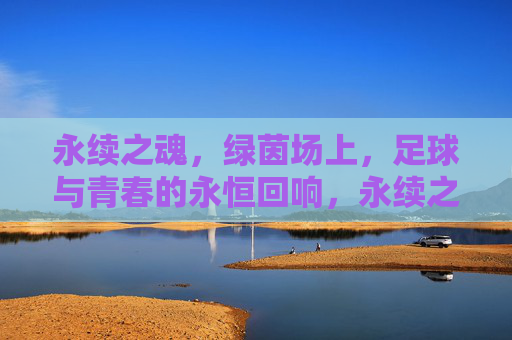 永续之魂，绿茵场上，足球与青春的永恒回响，永续之魂，绿茵场上，足球与青春的永恒回响
