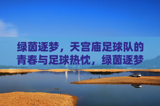 绿茵逐梦，天宫庙足球队的青春与足球热忱，绿茵逐梦，天宫庙足球队的青春与足球热忱