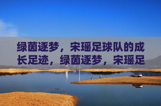 绿茵逐梦，宋瑶足球队的成长足迹，绿茵逐梦，宋瑶足球队的成长足迹