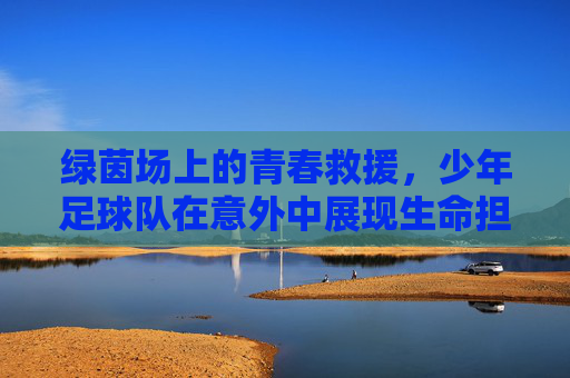 绿茵场上的青春救援,少年足球队在意外中展现生命担当,绿茵场上的青春救援,少年足球队在意外中展现生命担当
