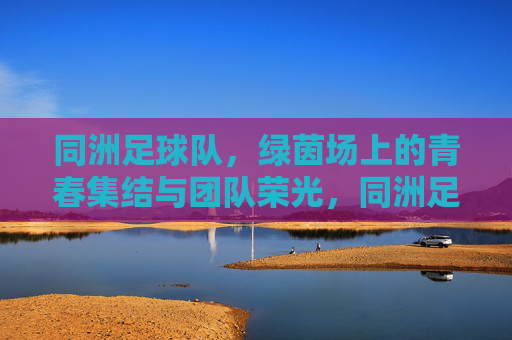 同洲足球队,绿茵场上的青春集结与团队荣光,同洲足球队,绿茵场上的青春集结与团队荣光