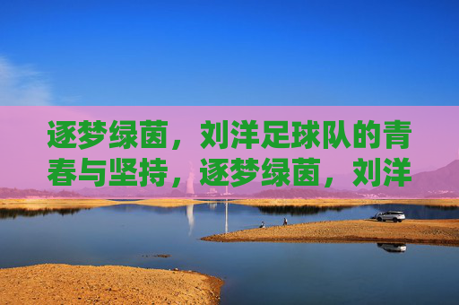 逐梦绿茵，刘洋足球队的青春与坚持，逐梦绿茵，刘洋足球队的青春与坚持