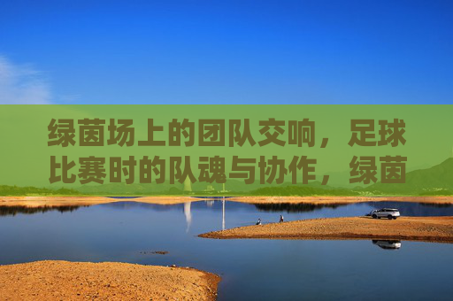 绿茵场上的团队交响，足球比赛时的队魂与协作，绿茵场上的团队交响，足球比赛中的队魂与协作