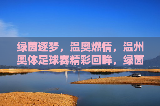 绿茵逐梦，温奥燃情，温州奥体足球赛精彩回眸，绿茵逐梦，温奥燃情，温州奥体足球赛精彩回眸