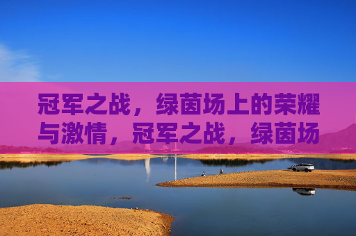 冠军之战，绿茵场上的荣耀与激情，冠军之战，绿茵场上的荣耀与激情