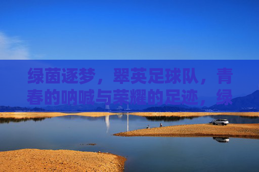 绿茵逐梦，翠英足球队，青春的呐喊与荣耀的足迹，绿茵逐梦，翠英足球队青春的呐喊与荣耀足迹