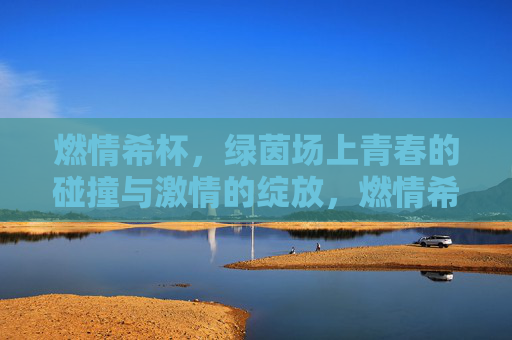 燃情希杯，绿茵场上青春的碰撞与激情的绽放，燃情希杯，绿茵场上青春的碰撞与激情的绽放