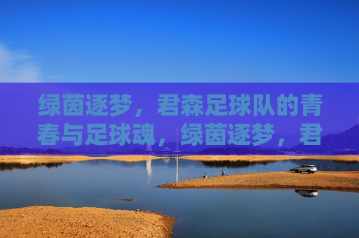 绿茵逐梦，君森足球队的青春与足球魂，绿茵逐梦，君森足球队的青春与足球魂