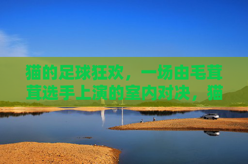 猫的足球狂欢，一场由毛茸茸选手上演的室内对决，猫的足球狂欢，一场由毛茸茸选手上演的室内对决
