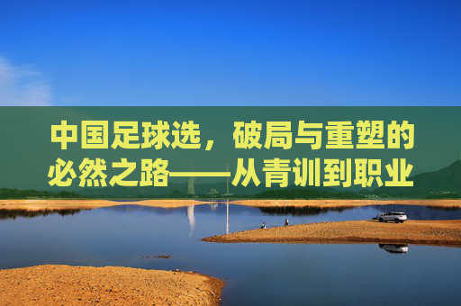 中国足球选,破局与重塑的必然之路——从青训到职业生态的深度探索,中国足球破局与重塑的必然之路,从青训到职业生态的深度探索