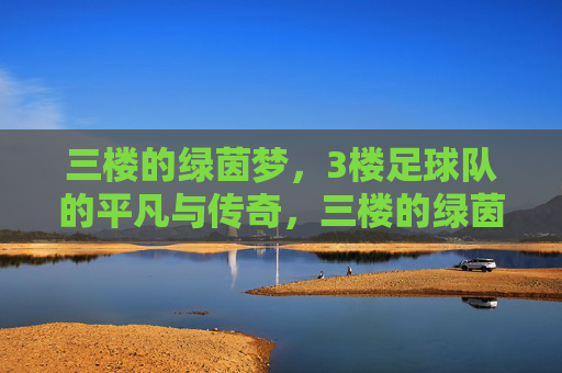 三楼的绿茵梦，3楼足球队的平凡与传奇，三楼的绿茵梦，3楼足球队的平凡与传奇