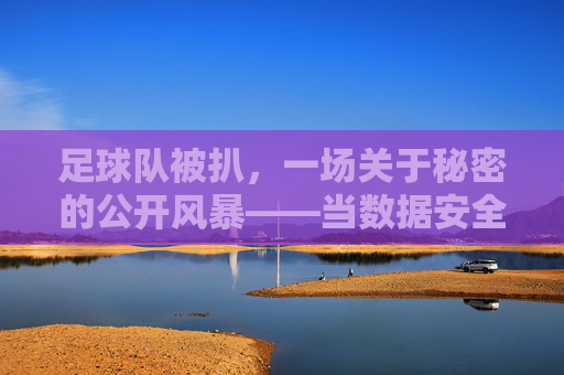 足球队被扒,一场关于秘密的公开风暴——当数据安全成为球队生存的软肋,足球队被扒,一场关于秘密的公开风暴——当数据安全成为球队生存的软肋