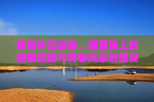 体育杯足球赛,绿茵场上的激情碰撞与青春风采的盛宴,体育杯足球赛,绿茵场上的激情碰撞与青春风采的盛宴