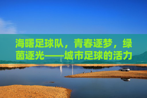 海曙足球队，青春逐梦，绿茵逐光——城市足球的活力缩影，海曙足球队，青春逐梦，绿茵逐光——城市足球的活力缩影