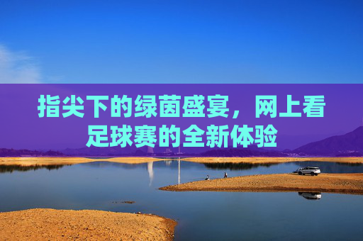 指尖下的绿茵盛宴，网上看足球赛的全新体验