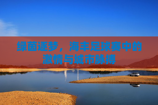 绿茵逐梦，海丰足球赛中的激情与城市脉搏