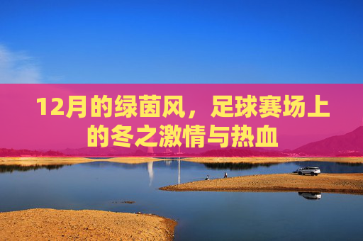 12月的绿茵风,足球赛场上的冬之激情与热血