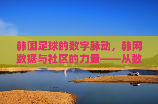 韩国足球的数字脉动，韩网数据与社区的力量——从数据看韩网如何塑造足坛生态