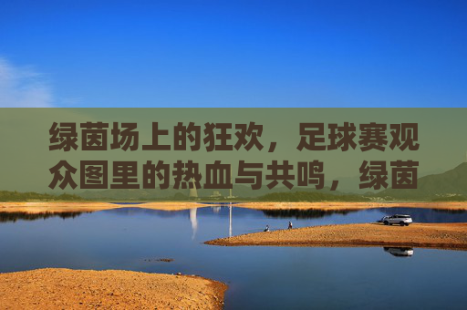 绿茵场上的狂欢,足球赛观众图里的热血与共鸣,绿茵场上的狂欢,足球赛观众图里的热血与共鸣