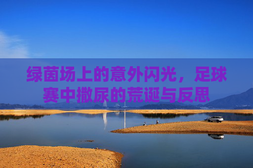 绿茵场上的意外闪光,足球赛中撒尿的荒诞与反思
