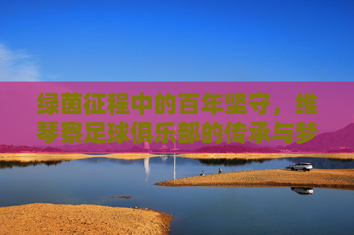 绿茵征程中的百年坚守，维琴察足球俱乐部的传承与梦想