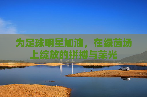 为足球明星加油，在绿茵场上绽放的拼搏与荣光