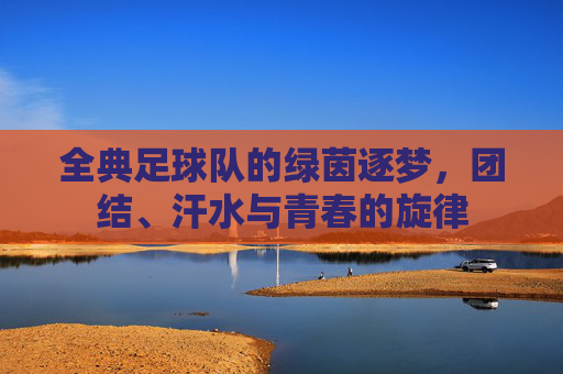 全典足球队的绿茵逐梦,团结、汗水与青春的旋律
