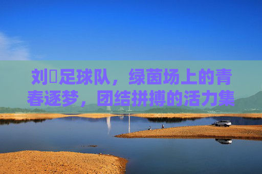 刘劼足球队，绿茵场上的青春逐梦，团结拼搏的活力集结