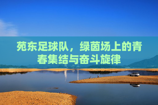 苑东足球队，绿茵场上的青春集结与奋斗旋律
