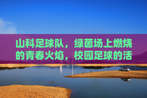 山科足球队,绿茵场上燃烧的青春火焰,校园足球的活力名片