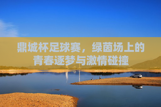 鼎城杯足球赛，绿茵场上的青春逐梦与激情碰撞