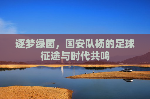 逐梦绿茵,国安队杨的足球征途与时代共鸣