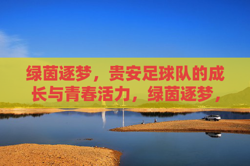 绿茵逐梦，贵安足球队的成长与青春活力，绿茵逐梦，贵安足球队的成长与青春活力