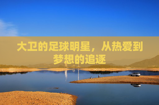 大卫的足球明星，从热爱到梦想的追逐